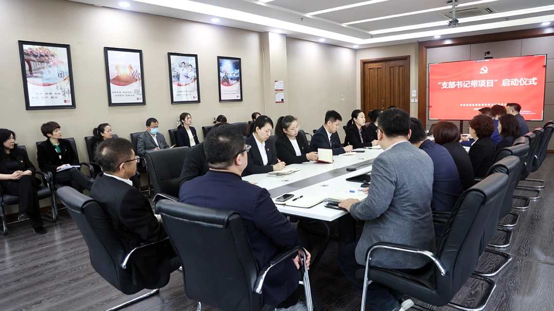 党徽闪耀 头雁领航——k8凯发营销召开"支部书记带项目"启动仪式